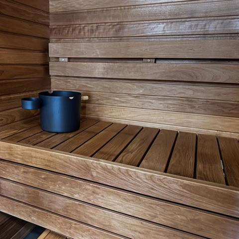 ProSaunas Thermo-Aspen 2x4 S4SEE SHP