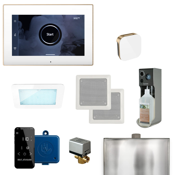 Mr. Steam XDream Steam Shower Control Package with iSteamX