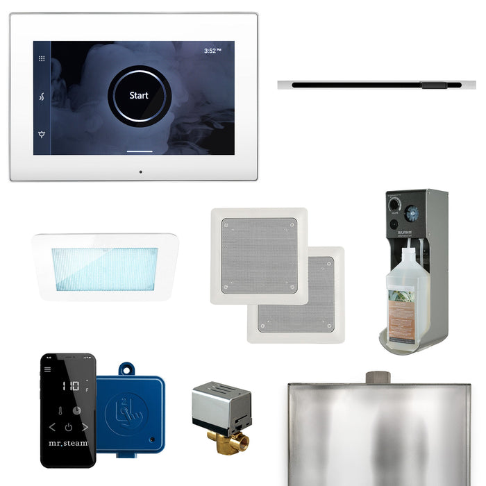 Mr. Steam XDream Steam Shower Control Package with iSteamX