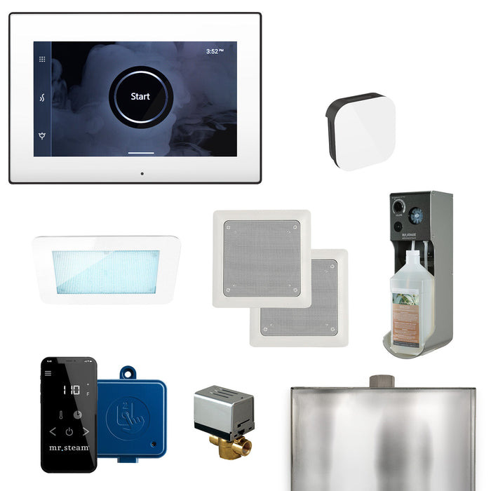 Mr. Steam XDream Steam Shower Control Package with iSteamX