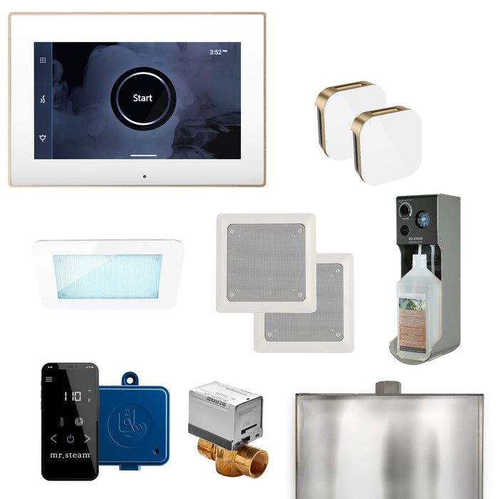 Mr. Steam XDream Steam Shower Control Package with iSteamX