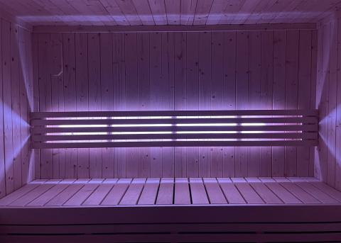 SaunaLife Lighting for Model X6 Sauna