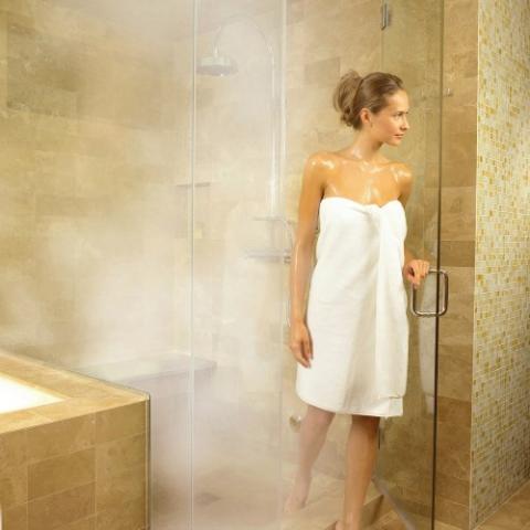 ThermaSol PRO Series II Advanced Steam Shower Generator w/Fast Start and PowerFlush